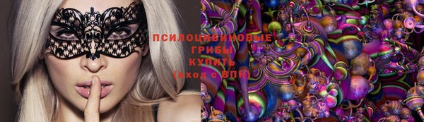 прущий лед Бородино